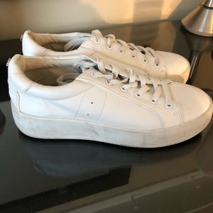 Steve Madden BERTIE sneaker